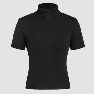 BRAND NEW L Solid Turtleneck Knit Top